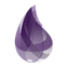 Elixir